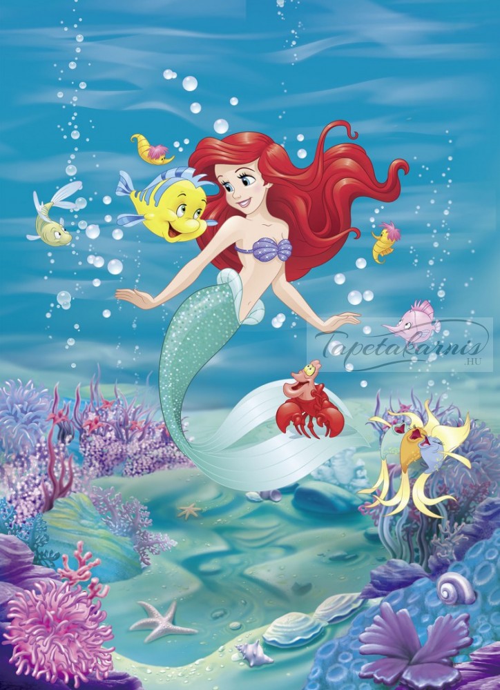 Image of Ariel Poszter 4-4020