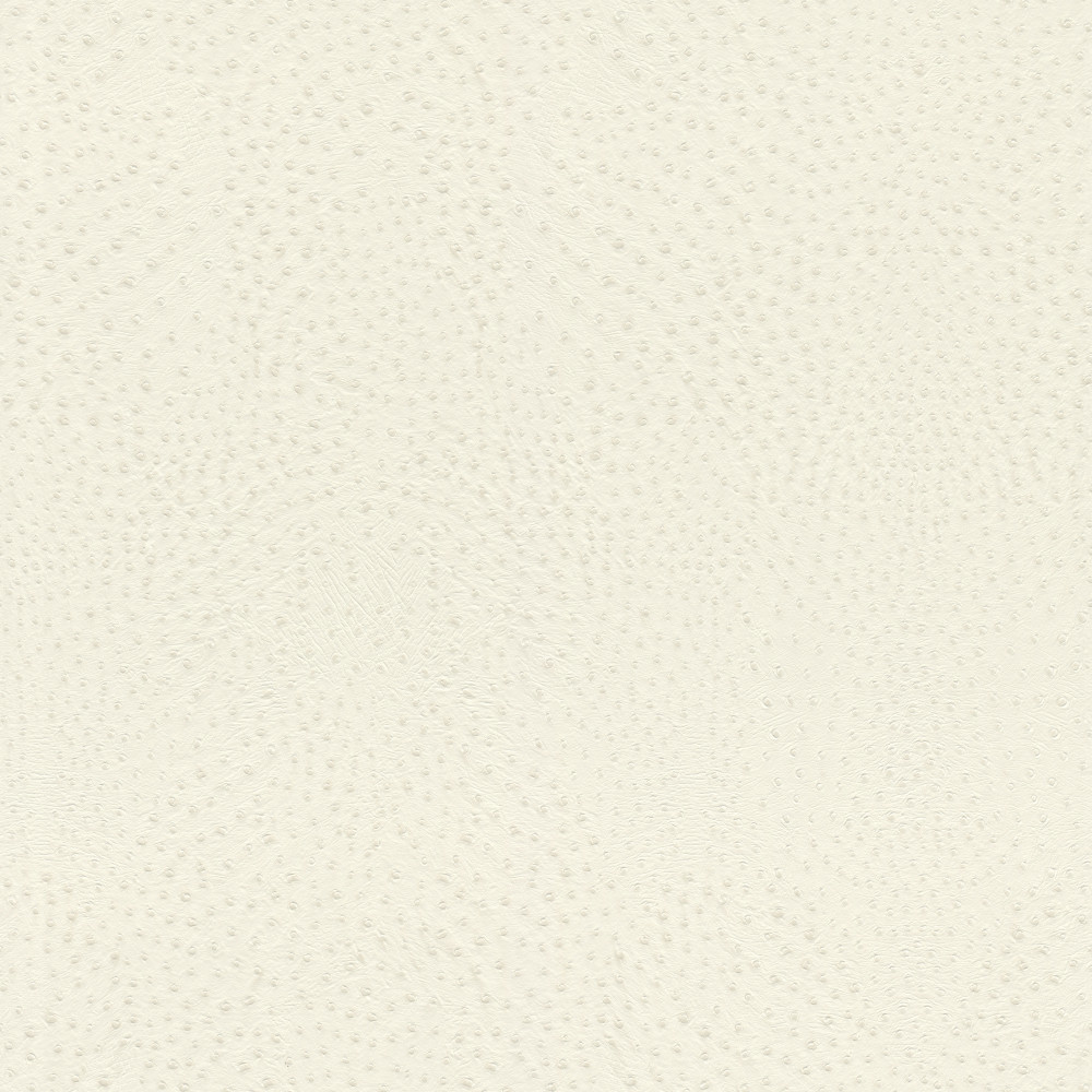 Image of African Queen struccbőr utánzatú törtfehér tapéta 751536