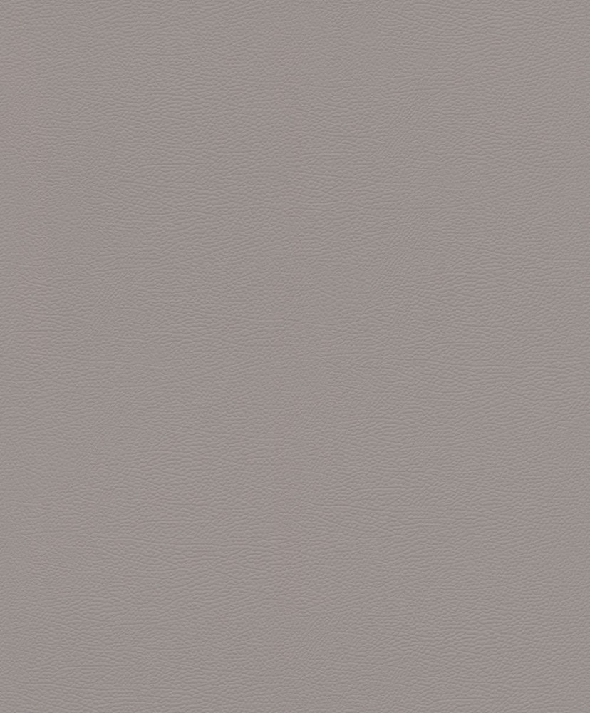 Image of African Queen szürke elefántbőrre emlékeztető tapéta 752649