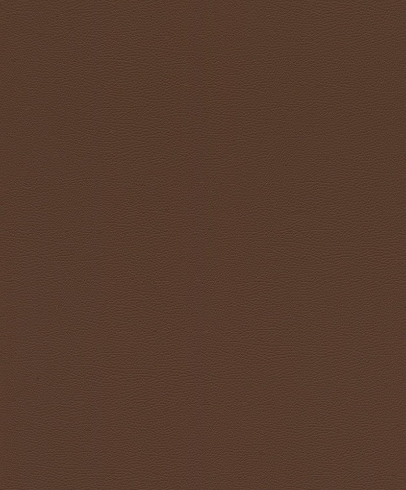 Image of African Queen sötétbarna elefántbőrre emlékeztető tapéta 752663