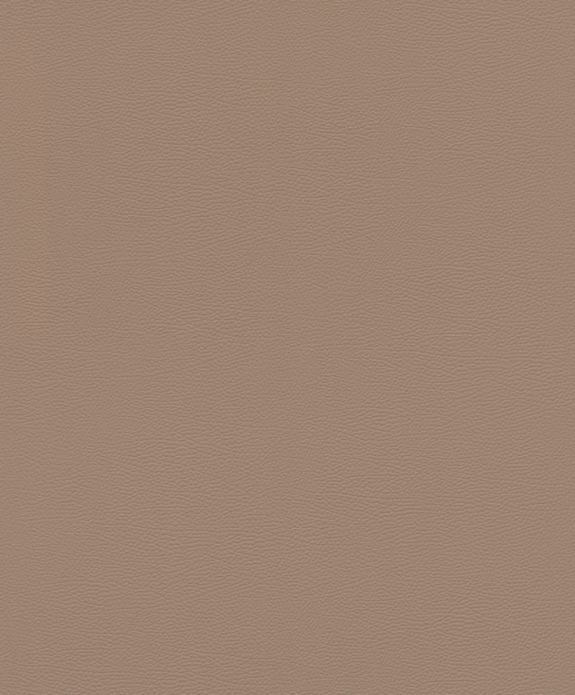 Image of African Queen barna elefántbőrre emlékeztető tapéta 752724