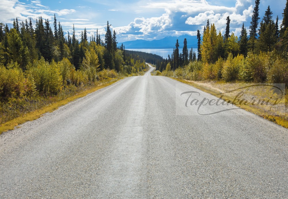 Image of Atlin road poszter 8532.