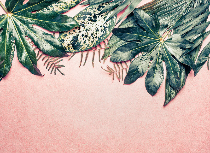 Image of Leaves Variety 1 poszter DD118548
