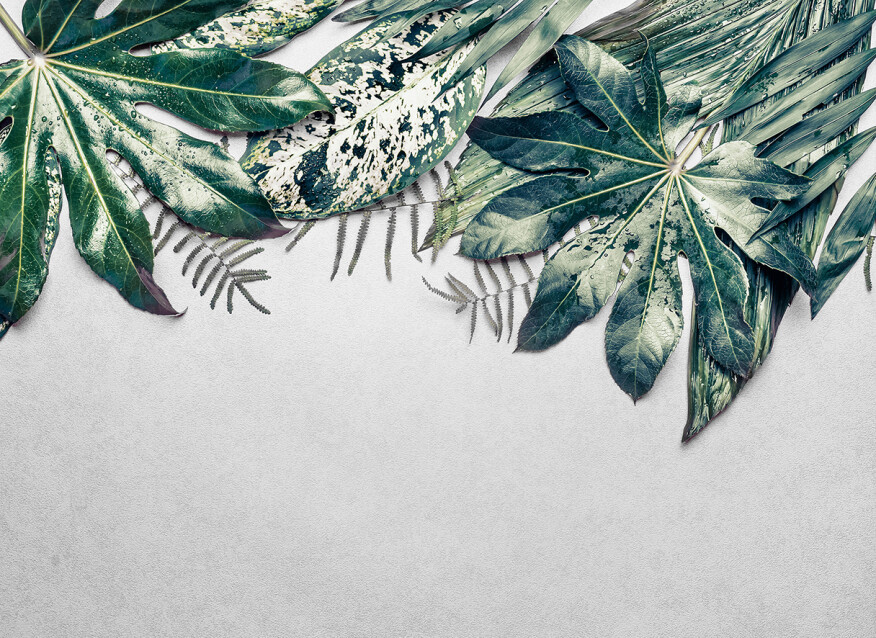 Image of Leaves Variety 2 poszter DD118550