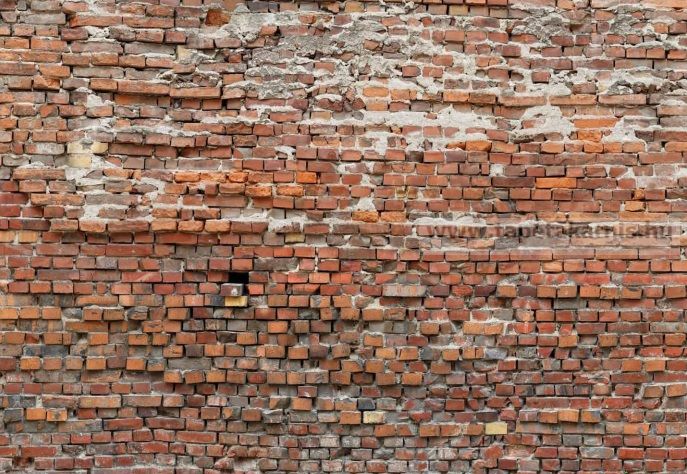 Image of Poszter xxl4-025.