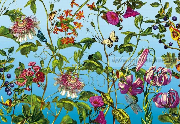 Image of Poszter xxl4-029.